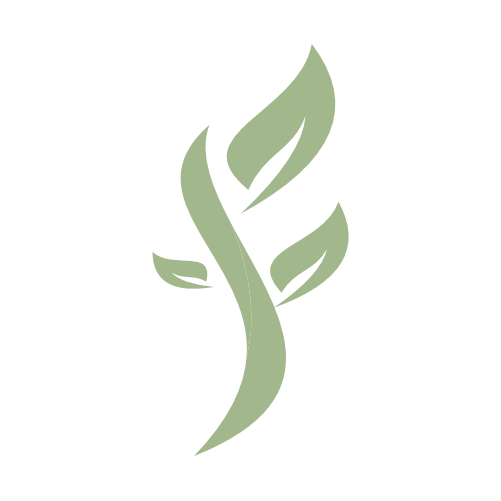 Icon Logo