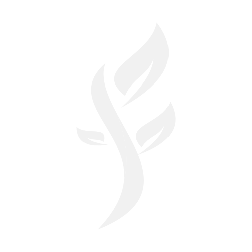 Icon Logo white