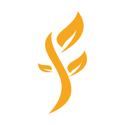 Icon Logo